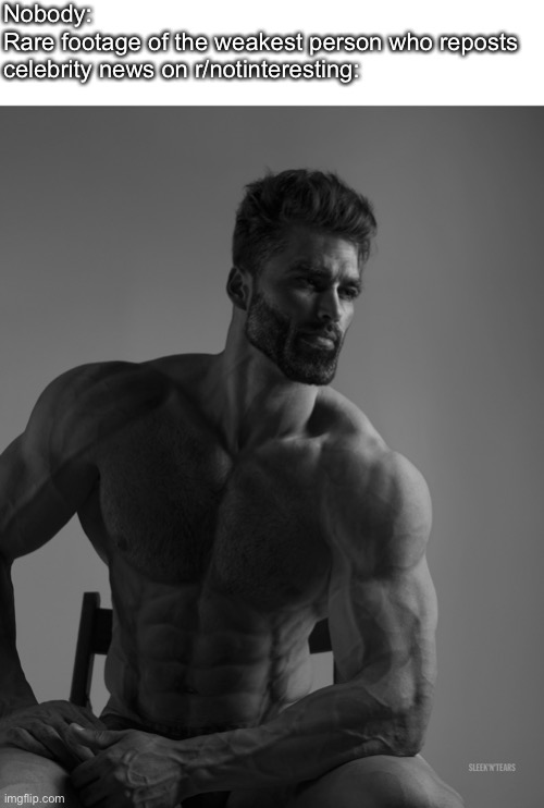 The true chads | Nobody:
Rare footage of the weakest person who reposts celebrity news on r/notinteresting: | image tagged in giga chad | made w/ Imgflip meme maker