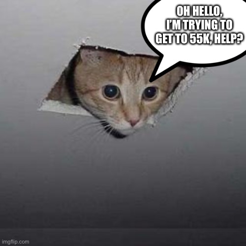 Plz get me to 55k Points!!! I’m so Close!!! | OH HELLO, I’M TRYING TO GET TO 55K, HELP? | image tagged in memes,ceiling cat | made w/ Imgflip meme maker