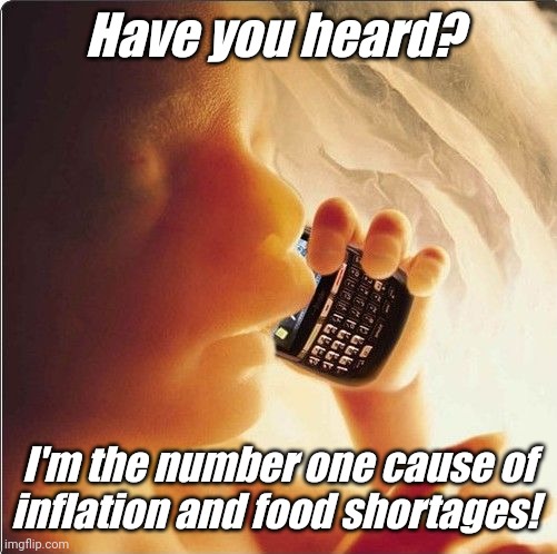 Putin is so 24 hours ago! |  Have you heard? I'm the number one cause of inflation and food shortages! | image tagged in baby in womb on cell phone - fetus blackberry | made w/ Imgflip meme maker