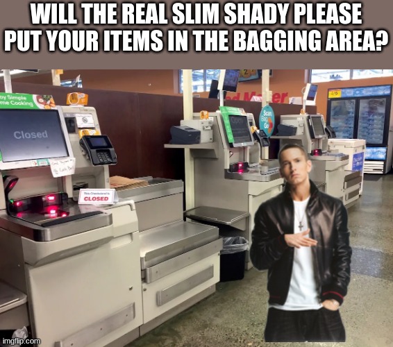 WILL THE REAL SLIM SHADY PLEASE PUT YOUR ITEMS IN THE BAGGING AREA? | made w/ Imgflip meme maker
