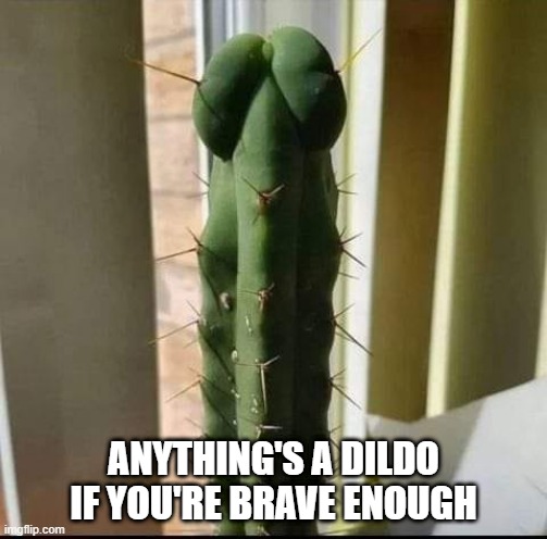 Cactus Dildo Imgflip