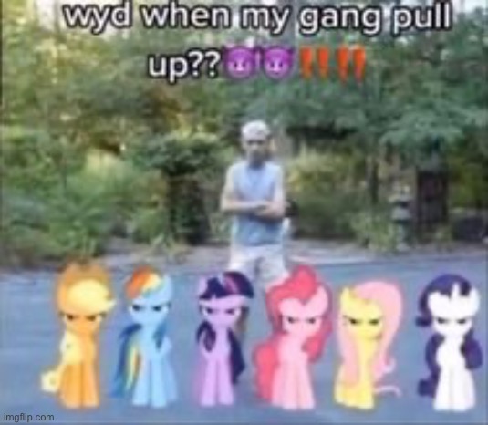 put them in a jar, yall done | made w/ Imgflip meme maker