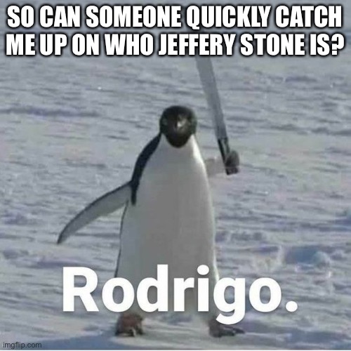 Rodrigo | SO CAN SOMEONE QUICKLY CATCH ME UP ON WHO JEFFERY STONE IS? | image tagged in rodrigo | made w/ Imgflip meme maker