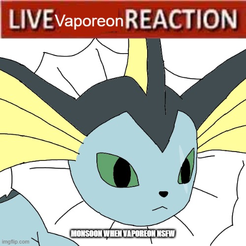 idk | MONSOON WHEN VAPOREON NSFW | image tagged in live vaporeon reaction | made w/ Imgflip meme maker