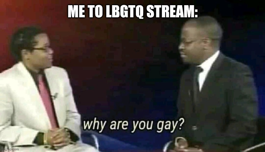 Why are you gay? | ME TO LBGTQ STREAM: | image tagged in why are you gay | made w/ Imgflip meme maker