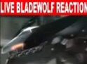 High Quality Live Bladewolf Reaction Blank Meme Template