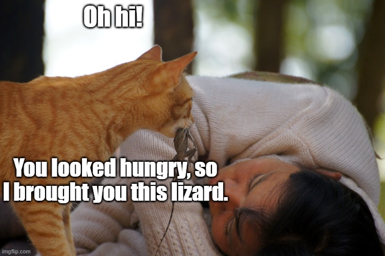 Oh hi! You looked hungry, so I brought you this lizard. | made w/ Imgflip meme maker