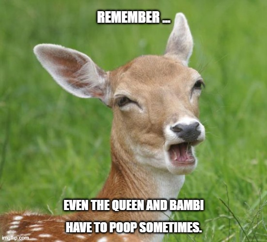Go Home Bambi, You're Drunk | REMEMBER ... EVEN THE QUEEN AND BAMBI; HAVE TO POOP SOMETIMES. | image tagged in go home bambi you're drunk | made w/ Imgflip meme maker