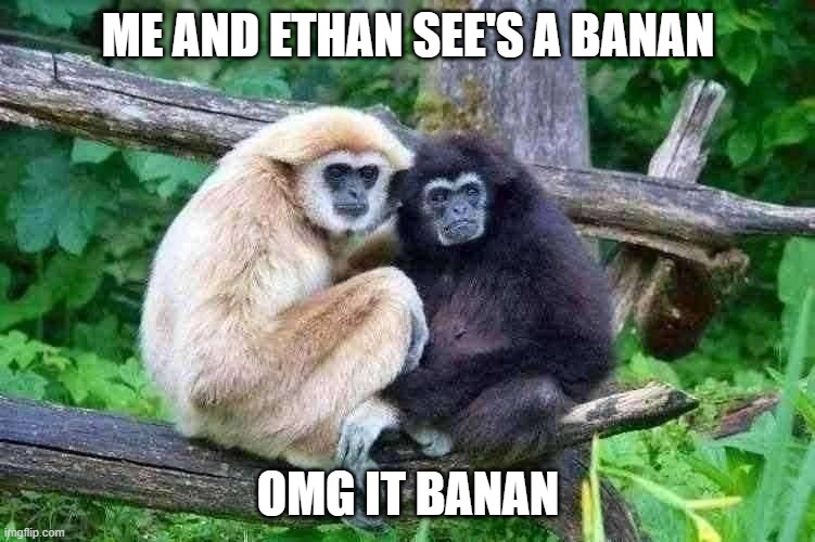 When see banan | ME AND ETHAN SEE'S A BANAN; OMG IT BANAN | image tagged in monke | made w/ Imgflip meme maker