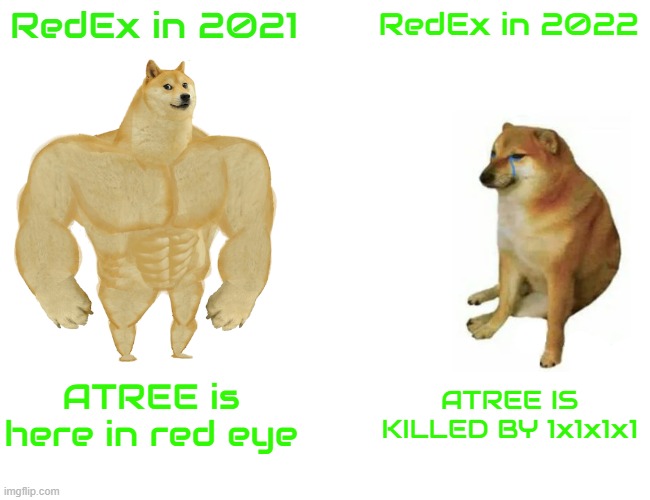RedEx in 2021 and 2022 | RedEx in 2021 RedEx in 2022 ATREE is here in red eye ATREE IS KILLED BY 1x1x1x1 | image tagged in memes,buff doge vs cheems,2021,2022,evolution | made w/ Imgflip meme maker