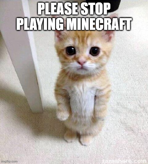 Cute Cat Meme | PLEASE STOP PLAYING MINECRAFT | image tagged in memes,cute cat | made w/ Imgflip meme maker