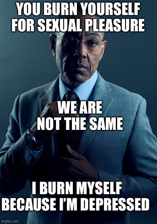 Gus Fring we are not the same | YOU BURN YOURSELF FOR SEXUAL PLEASURE I BURN MYSELF BECAUSE I’M DEPRESSED WE ARE NOT THE SAME | image tagged in gus fring we are not the same | made w/ Imgflip meme maker