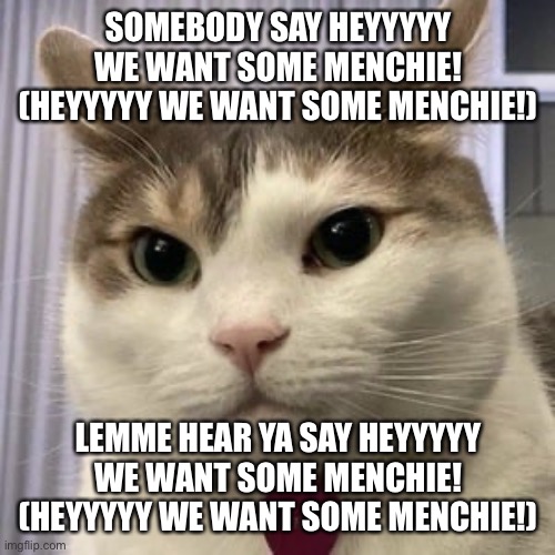 2 Live Menchie | SOMEBODY SAY HEYYYYY WE WANT SOME MENCHIE!
(HEYYYYY WE WANT SOME MENCHIE!); LEMME HEAR YA SAY HEYYYYY WE WANT SOME MENCHIE!
(HEYYYYY WE WANT SOME MENCHIE!) | image tagged in memes,cats,simplynaillogical | made w/ Imgflip meme maker