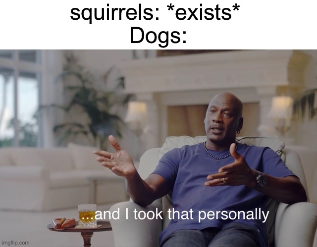 and I took that personally |  squirrels: *exists* 
Dogs: | image tagged in and i took that personally,memes,funny,funny memes,dogs,squirrel | made w/ Imgflip meme maker