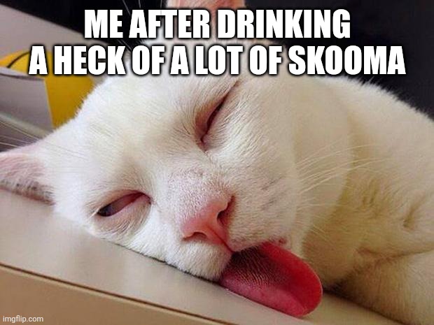 drunk cat boeing | ME AFTER DRINKING A HECK OF A LOT OF SKOOMA | image tagged in drunk cat boeing | made w/ Imgflip meme maker