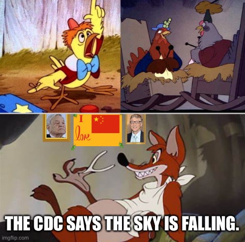 The CDC says the sky is falling | THE CDC SAYS THE SKY IS FALLING. | image tagged in the cdc says the sky is falling | made w/ Imgflip meme maker