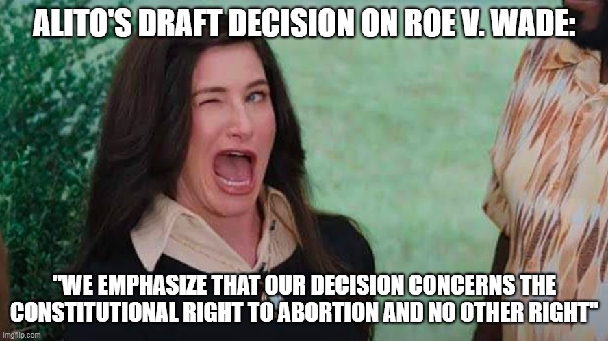 SCOTUS draft opinion on Roe v Wade |  ALITO'S DRAFT DECISION ON ROE V. WADE:; "WE EMPHASIZE THAT OUR DECISION CONCERNS THE CONSTITUTIONAL RIGHT TO ABORTION AND NO OTHER RIGHT" | image tagged in scotus,abortion | made w/ Imgflip meme maker