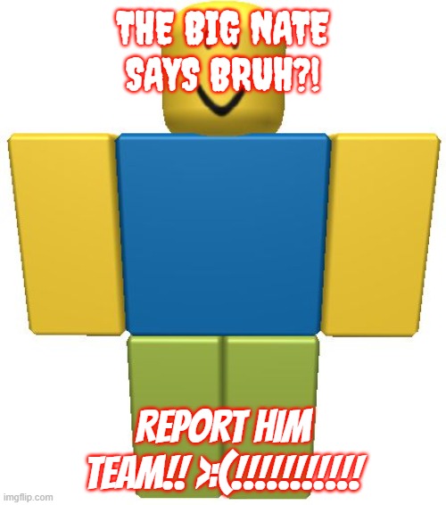 The big nate says bruh?! | THE BIG NATE SAYS BRUH?! REPORT HIM TEAM!! >:(!!!!!!!!!!! | image tagged in roblox noob,big nate,bruh,report | made w/ Imgflip meme maker