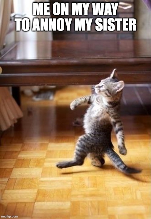 Cool Cat Stroll Meme | ME ON MY WAY TO ANNOY MY SISTER | image tagged in memes,cool cat stroll | made w/ Imgflip meme maker