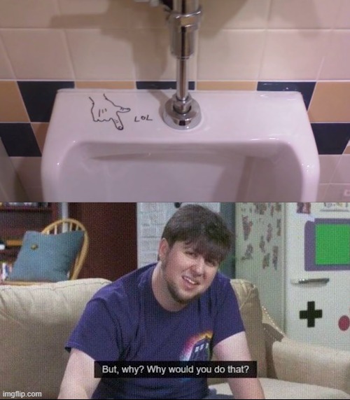image tagged in but why why would you do that | made w/ Imgflip meme maker