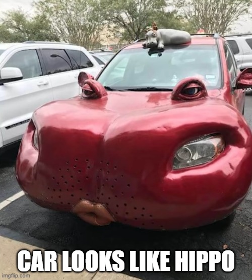 CAR LOOKS LIKE HIPPO | image tagged in cars | made w/ Imgflip meme maker