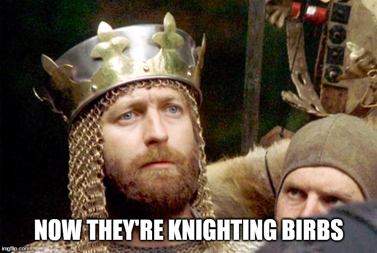 Good Sir Knight | NOW THEY'RE KNIGHTING BIRBS | image tagged in good sir knight | made w/ Imgflip meme maker