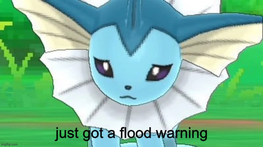 f | just got a flood warning | image tagged in vaporeon sad | made w/ Imgflip meme maker