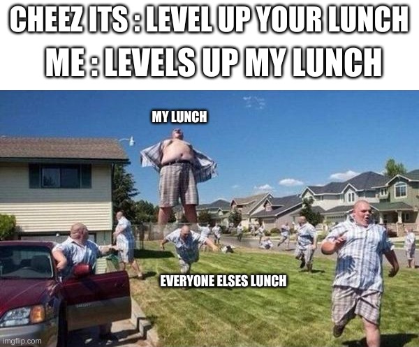 Level up your lunch | CHEEZ ITS : LEVEL UP YOUR LUNCH; ME : LEVELS UP MY LUNCH; MY LUNCH; EVERYONE ELSES LUNCH | image tagged in memes,cheez its | made w/ Imgflip meme maker