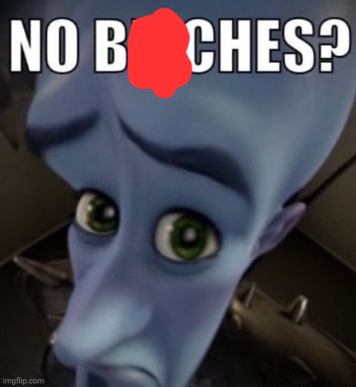 no bitches megamind | image tagged in no bitches megamind | made w/ Imgflip meme maker