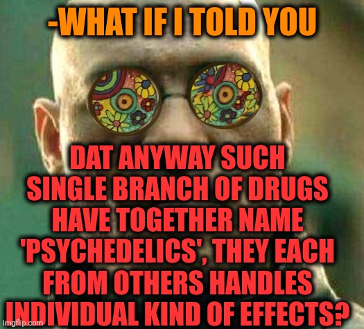-Could be very frightful. | -WHAT IF I TOLD YOU; DAT ANYWAY SUCH SINGLE BRANCH OF DRUGS HAVE TOGETHER NAME 'PSYCHEDELICS', THEY EACH FROM OTHERS HANDLES INDIVIDUAL KIND OF EFFECTS? | image tagged in acid kicks in morpheus,don't do drugs,sad teacher,mandela effect,police chasing guy,prison bars | made w/ Imgflip meme maker