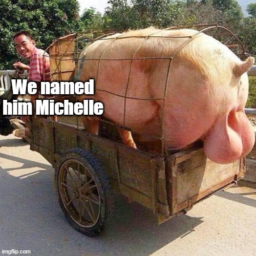 We named him Michelle | made w/ Imgflip meme maker