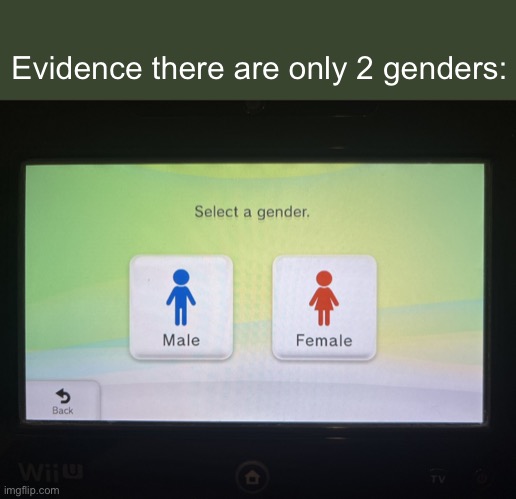 Even nintendo knows theres only 2 | Evidence there are only 2 genders: | image tagged in there are 2 genders confirmed | made w/ Imgflip meme maker