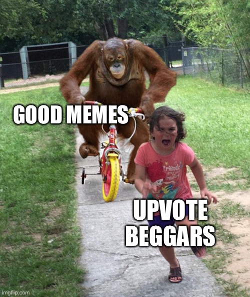 Orangutan chasing girl on a tricycle | GOOD MEMES; UPVOTE BEGGARS | image tagged in orangutan chasing girl on a tricycle | made w/ Imgflip meme maker