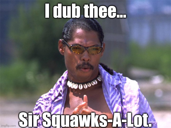 Pootie Tang say: | I dub thee... Sir Squawks-A-Lot. | image tagged in pootie tang say | made w/ Imgflip meme maker