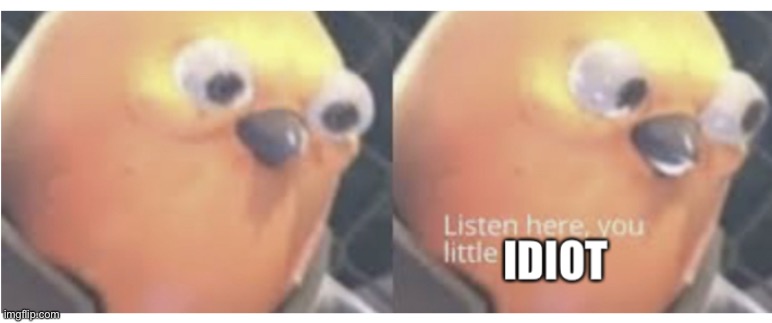 Listen up idiot | image tagged in listen up idiot | made w/ Imgflip meme maker