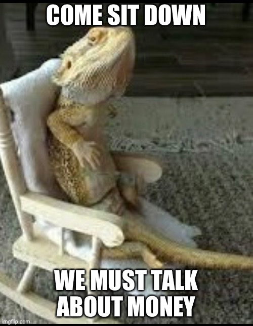 We must talk | COME SIT DOWN; WE MUST TALK ABOUT MONEY | image tagged in gecko | made w/ Imgflip meme maker