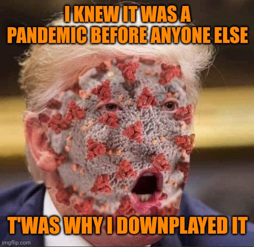 He doesn't want to downplay it anymore | I KNEW IT WAS A PANDEMIC BEFORE ANYONE ELSE; T'WAS WHY I DOWNPLAYED IT | image tagged in trump's virus | made w/ Imgflip meme maker