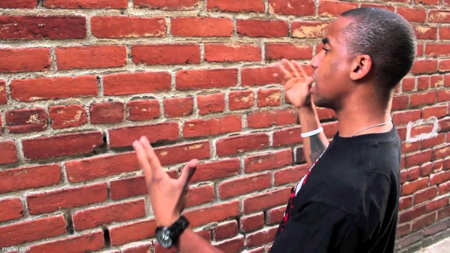 Brick wall | image tagged in brick wall | made w/ Imgflip meme maker