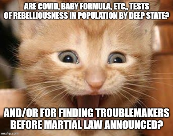 Yes | ARE COVID, BABY FORMULA, ETC,, TESTS OF REBELLIOUSNESS IN POPULATION BY DEEP STATE? AND/OR FOR FINDING TROUBLEMAKERS BEFORE MARTIAL LAW ANNOUNCED? | image tagged in memes,excited cat | made w/ Imgflip meme maker