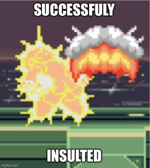 Successfuly insulted | image tagged in successfuly insulted | made w/ Imgflip meme maker
