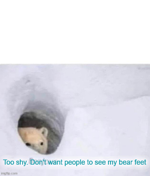 Bonjour | Too shy. Don't want people to see my bear feet | image tagged in bonjour | made w/ Imgflip meme maker