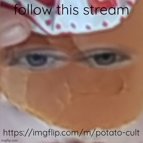 borger |  follow this stream; https://imgflip.com/m/potato-cult | image tagged in borger | made w/ Imgflip meme maker