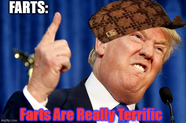 Donald Trump | FARTS: Farts Are Really Terrific | image tagged in donald trump | made w/ Imgflip meme maker