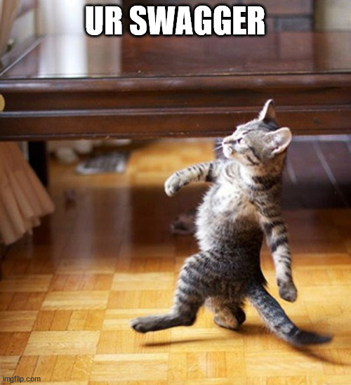 Cat Walking Like A Boss | UR SWAGGER | image tagged in cat walking like a boss | made w/ Imgflip meme maker
