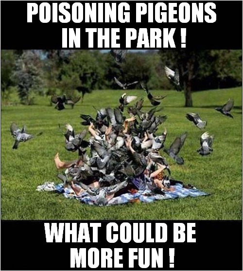It's A Hobby ! | POISONING PIGEONS
 IN THE PARK ! WHAT COULD BE
 MORE FUN ! | image tagged in pigeons,poison,park,dark humour | made w/ Imgflip meme maker