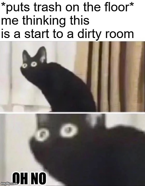 Oh No Black Cat | *puts trash on the floor*
me thinking this is a start to a dirty room; OH NO | image tagged in oh no black cat,meme,cat,funny,laugh,ohno | made w/ Imgflip meme maker