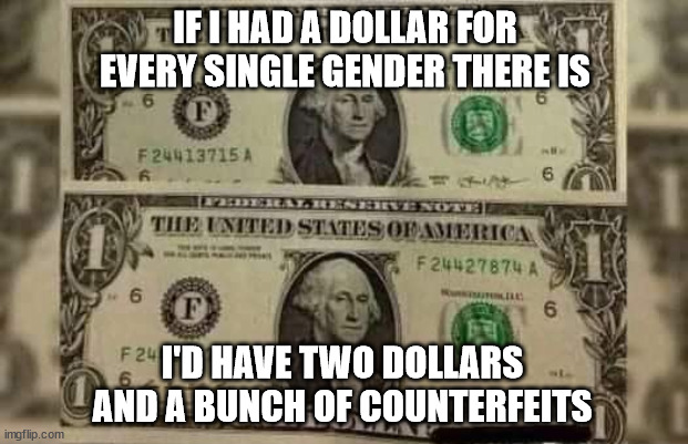 A Dollar For Every Gender |  IF I HAD A DOLLAR FOR EVERY SINGLE GENDER THERE IS; I'D HAVE TWO DOLLARS AND A BUNCH OF COUNTERFEITS | image tagged in money,gender,gender identity,dollars,social justice,cash | made w/ Imgflip meme maker