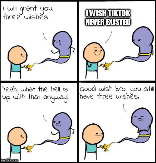 3 Wishes |  I WISH TIKTOK NEVER EXISTED | image tagged in 3 wishes,tiktok sucks,genie,i will grant you three wishes | made w/ Imgflip meme maker