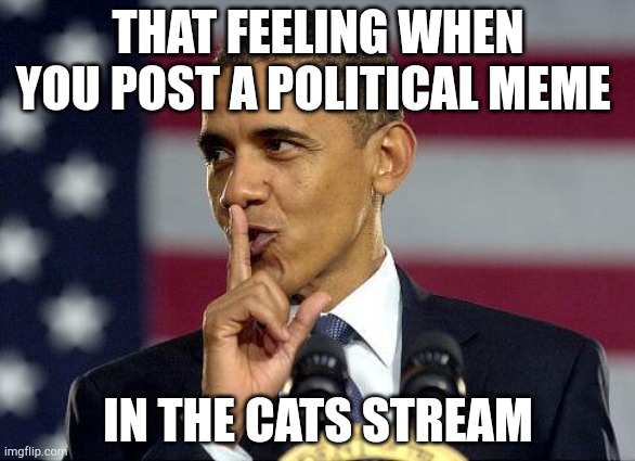 Everyone has done this at some desperate point | THAT FEELING WHEN YOU POST A POLITICAL MEME; IN THE CATS STREAM | image tagged in obama shhhhh | made w/ Imgflip meme maker