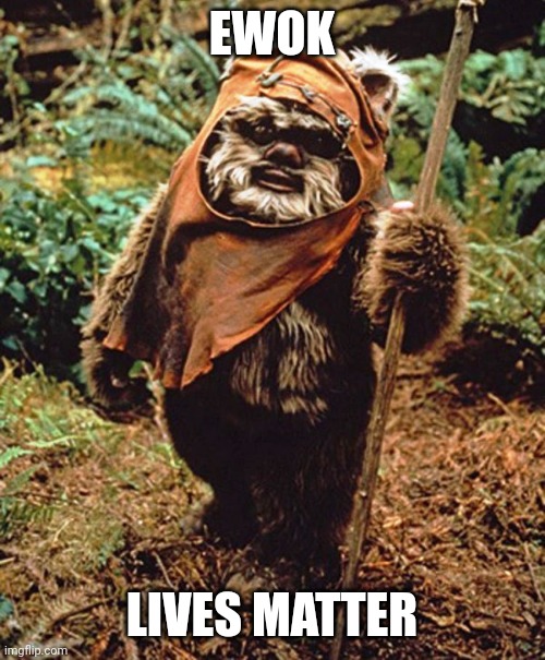 Dorm wars Ewok | EWOK; LIVES MATTER | image tagged in dorm wars ewok | made w/ Imgflip meme maker